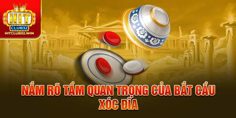 Nắm rõ tầm quan trọng của bắt cầu xóc đĩa