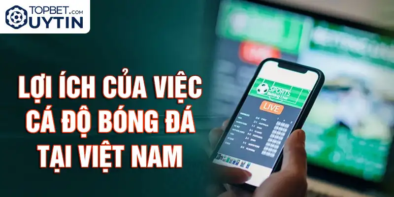 Lợi ích của việc cá độ bóng đá tại Việt Nam